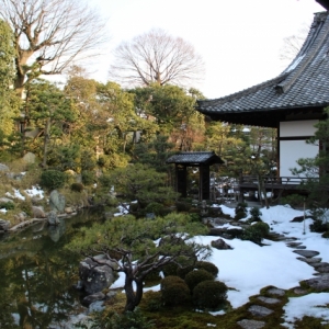 写真:【京都観光情報】〜1/29 両足院・冬季特別公開