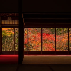 写真:【京都観光情報】11/15~30 南禅寺天授庵ライトアップ