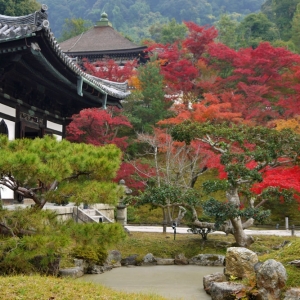 写真:【京都観光情報】10/21〜12/11 高台寺・秋の特別拝観&ライトアップ