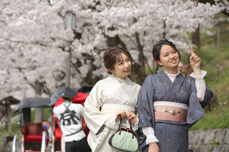 写真：ねねの道